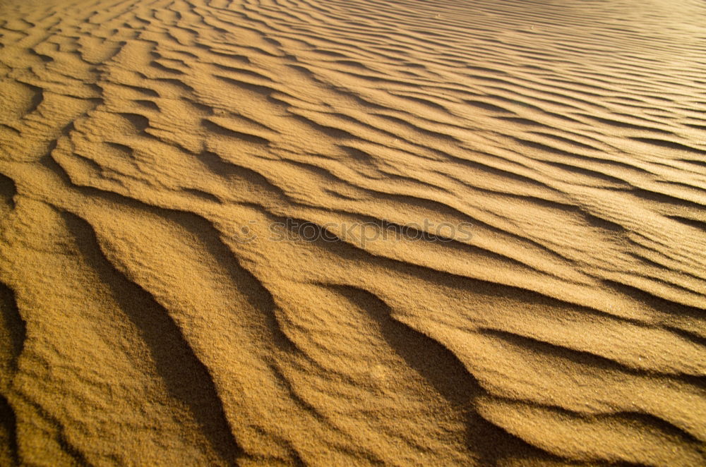 Similar – going home Sand Küste