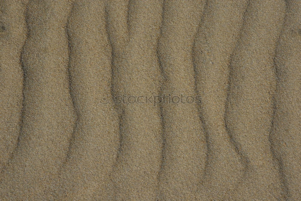 Similar – beach shapes Sand Beach