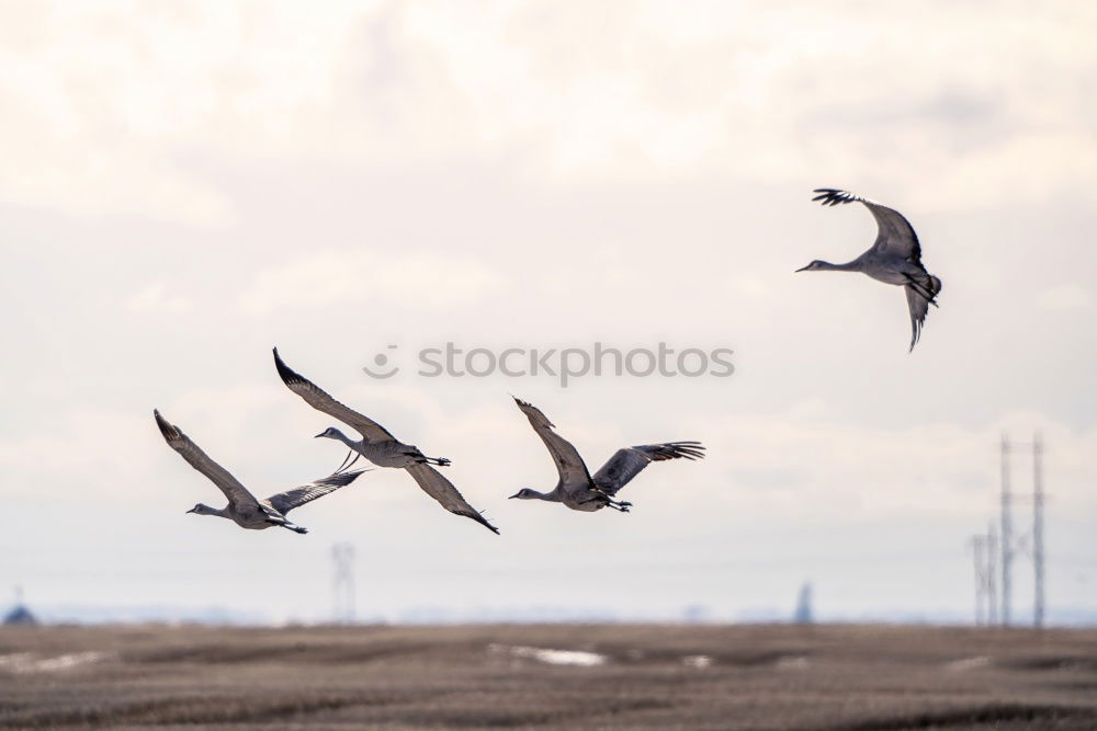 Similar – Image, Stock Photo meeting point