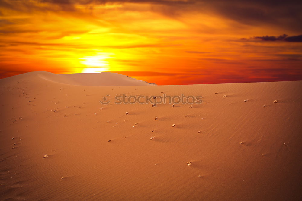 Similar – Image, Stock Photo Sunken in a sea of yellow fog