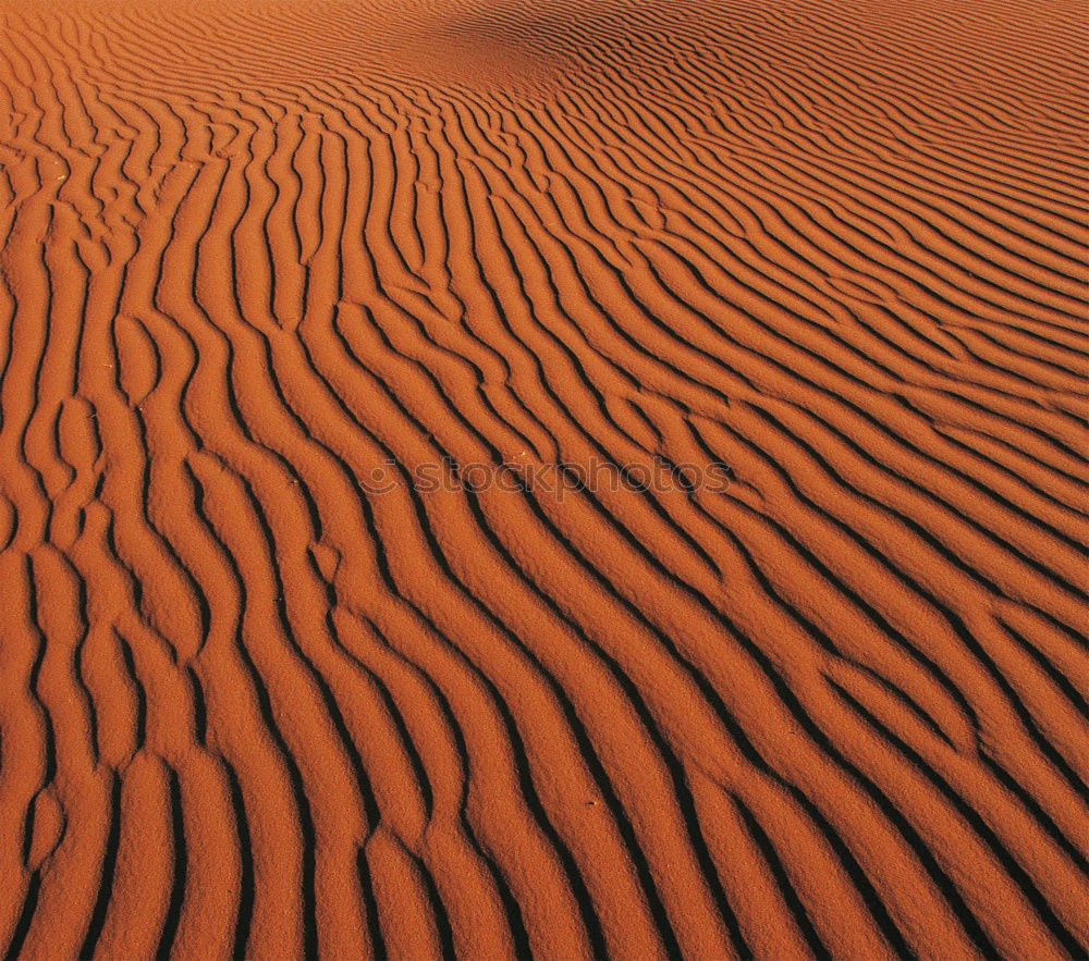 Similar – Image, Stock Photo sand dune