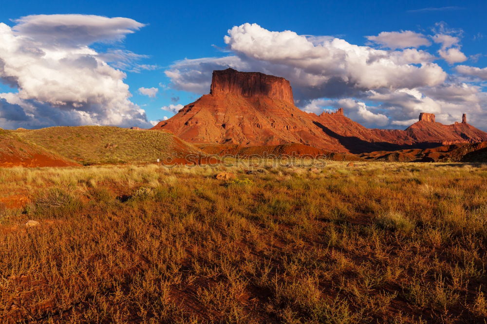 Similar – Image, Stock Photo the three Americas