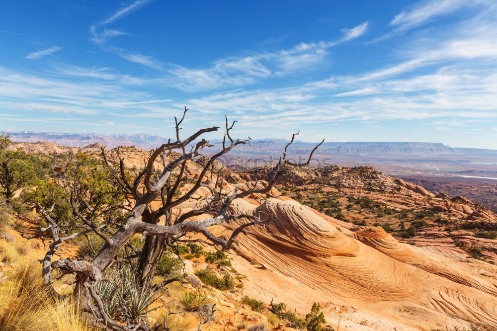 Similar – Image, Stock Photo Canyonlands Relaxation