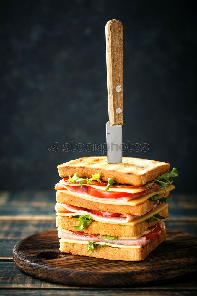 Similar – Image, Stock Photo Vegetarian sandwich