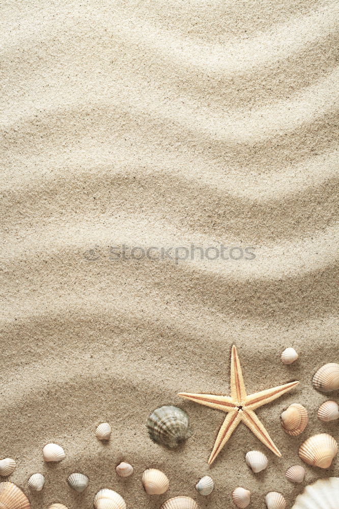 Similar – Starfish and feet on the beach