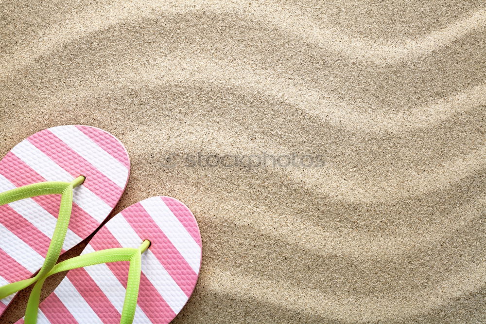 Similar – Draufsicht auf eine Strandtasche mit Flip Flops, Strandtuch, Sonnenbrille, Muscheln und Seesternen