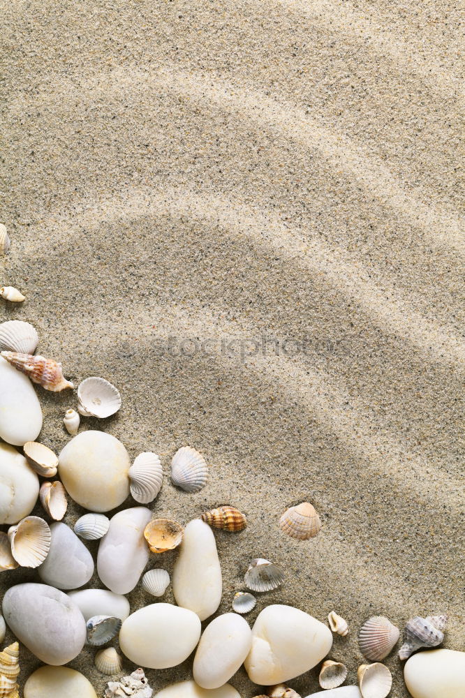 Similar – Image, Stock Photo Spiekeroog | Beach Treasures