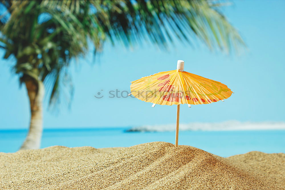 Similar – Image, Stock Photo Round Beach Towel, Hat And Sunglasses In Summer Holiday