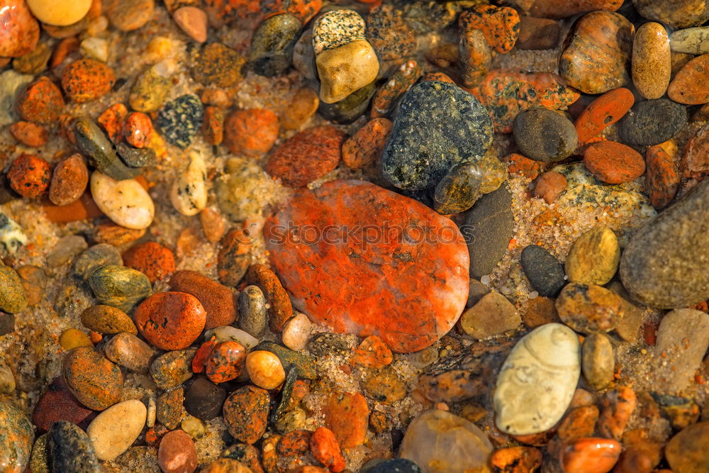 Image, Stock Photo Wet Red Pepples At Atlantic Coast in Scotland