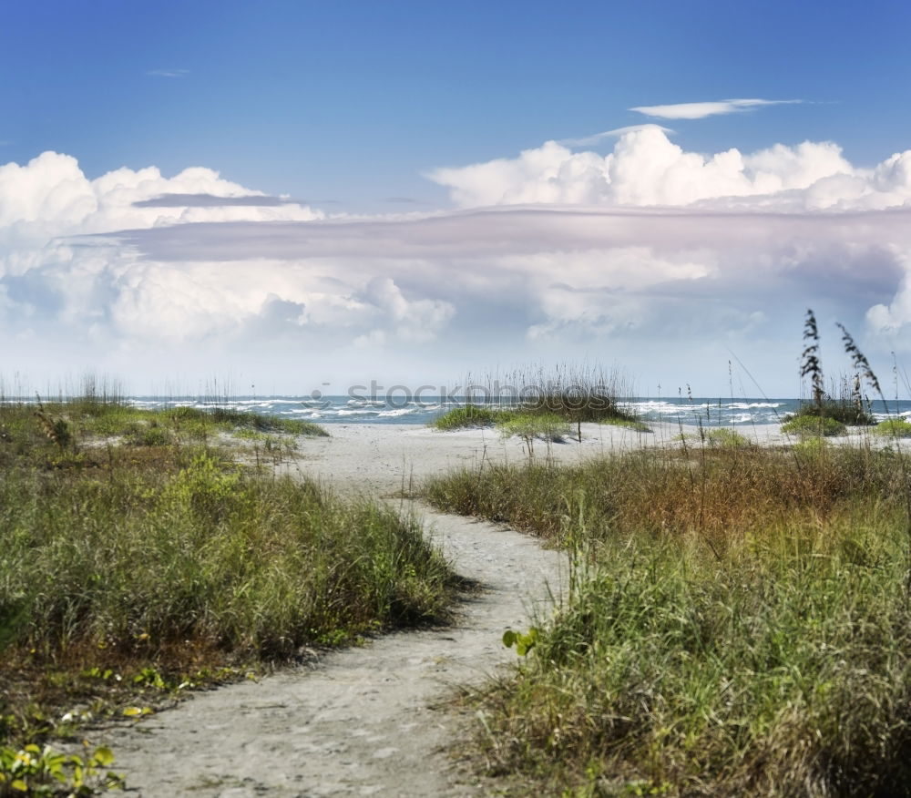 Similar – Beach chairs at the Baltic Sea beach