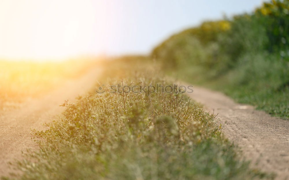 Similar – Image, Stock Photo highwayman Legs Feet 1