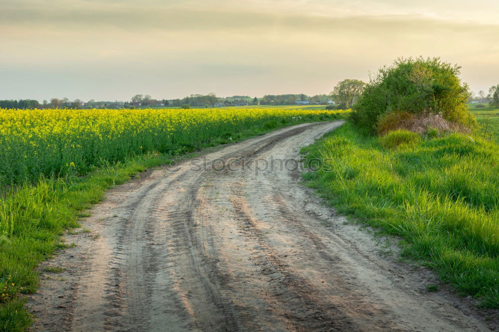 Similar – Nature Landscape Meadow