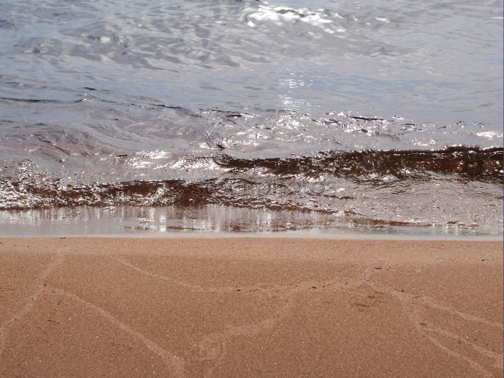 Similar – Low tide? Ocean Surfing