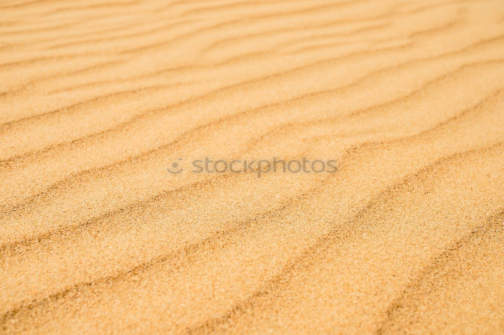 Similar – Sand texture on the beach