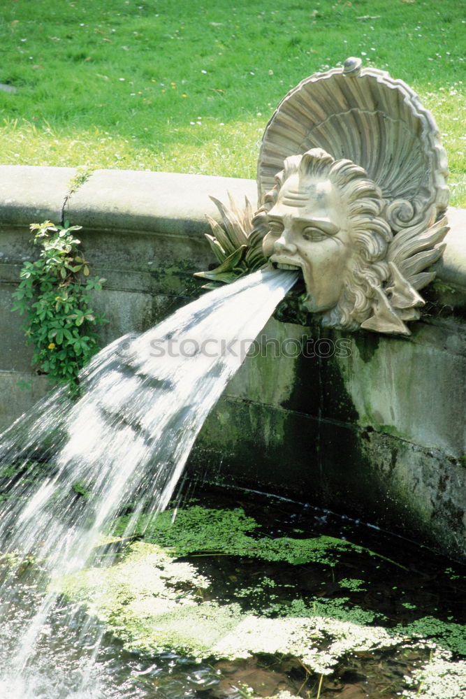 Image, Stock Photo Public washbasin Nature