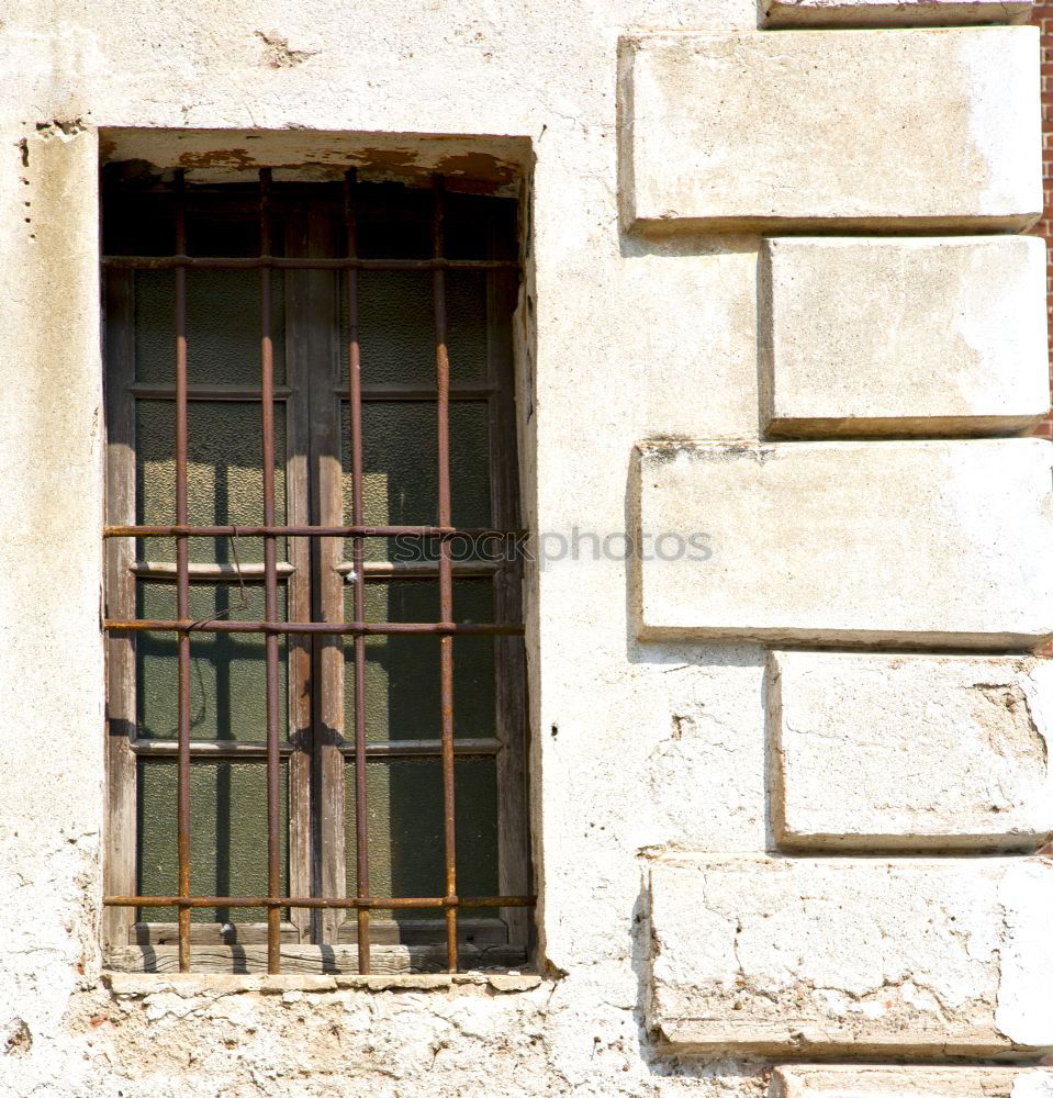 Similar – Bust at the window Window