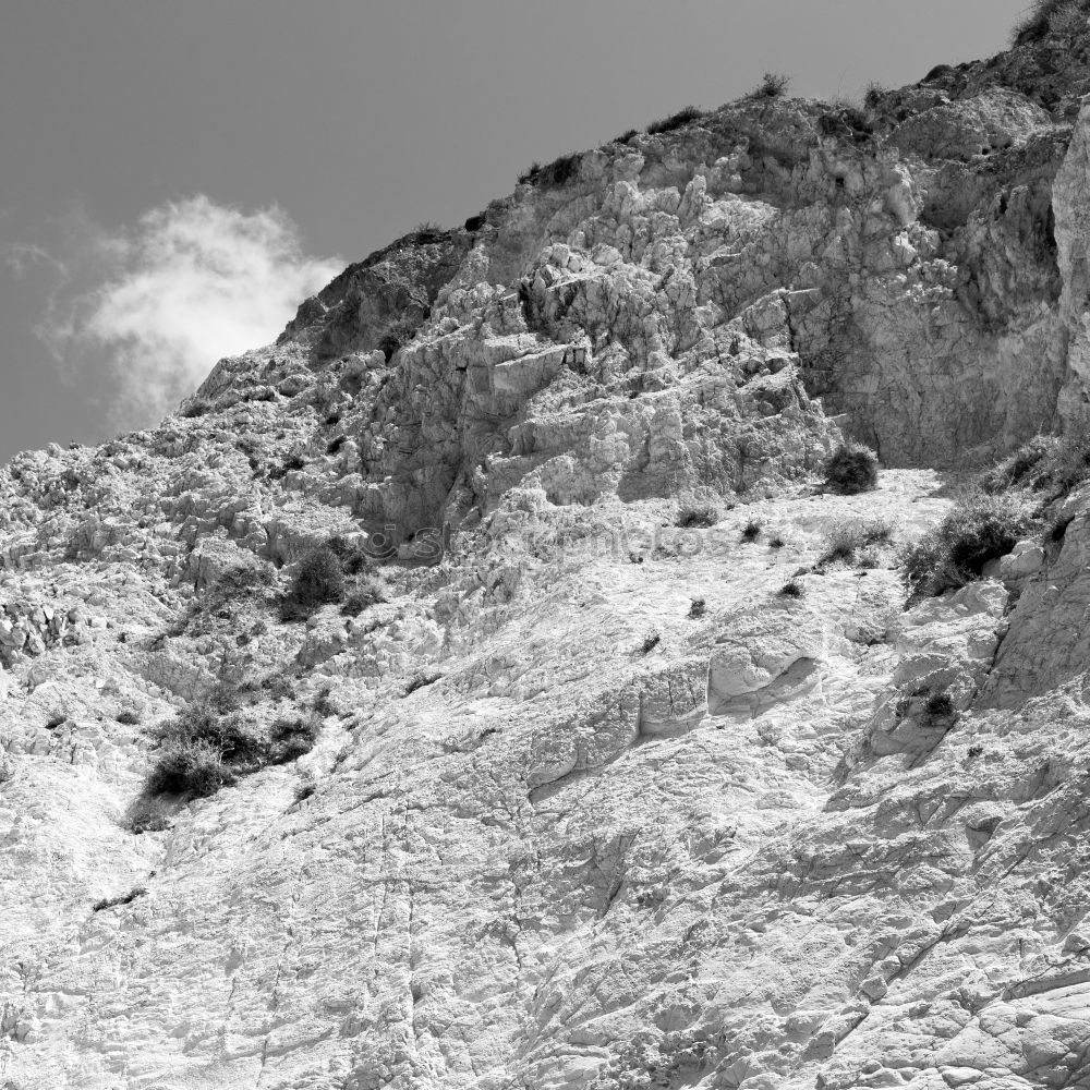 Similar – Image, Stock Photo Roe deer jumping on mountains