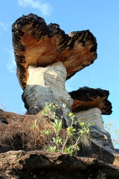 Similar – Image, Stock Photo Sao Chaliang Landscape, Amazing Natural of rock