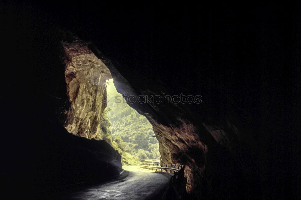 Similar – Foto Bild inside out Natur