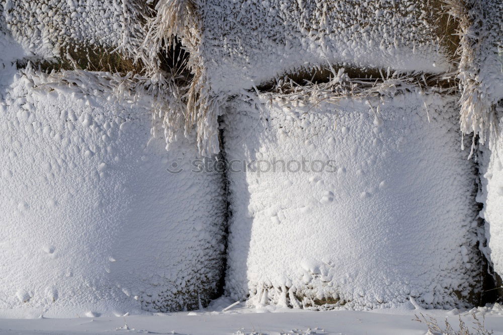 Similar – Image, Stock Photo EVERY DAMN MORNING Winter