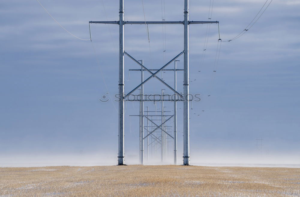 Similar – Image, Stock Photo Cuban Prairie