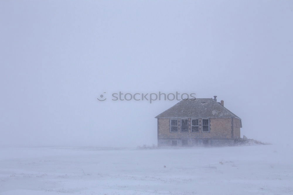 Similar – Image, Stock Photo i still remember Nature