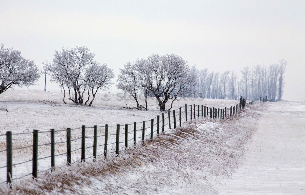 Similar – Image, Stock Photo Winter Impression_III Cold