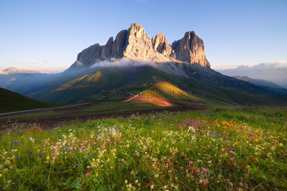 Similar – Image, Stock Photo Sciliar in the evening sun