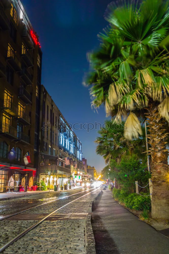 Similar – Image, Stock Photo Palm trees on Calvi