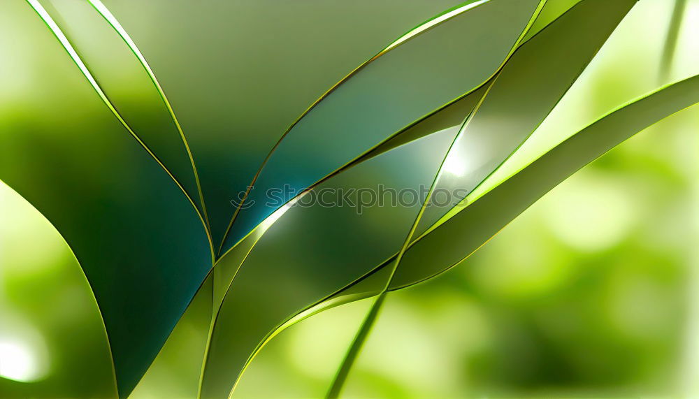 Similar – Image, Stock Photo it greenens… Green Grass