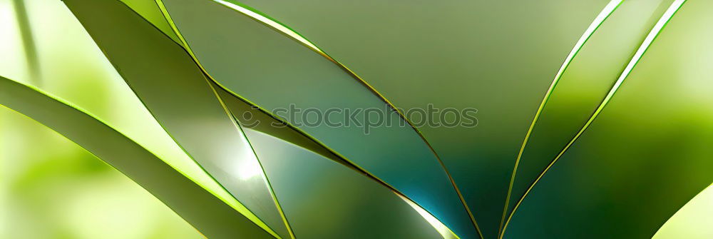 Similar – Image, Stock Photo it greenens… Green Grass