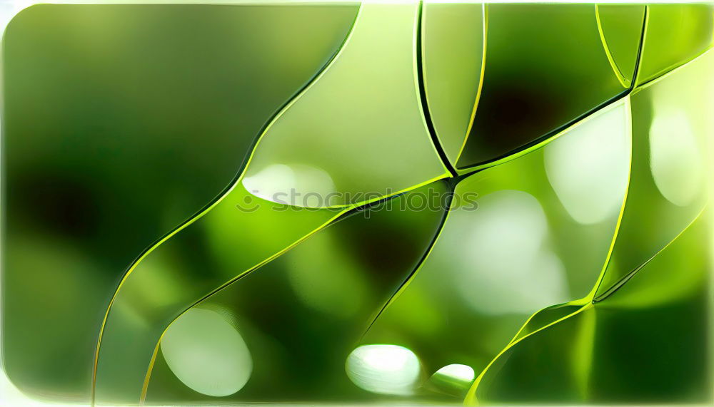 Similar – Image, Stock Photo leafy Summer Sunbeam