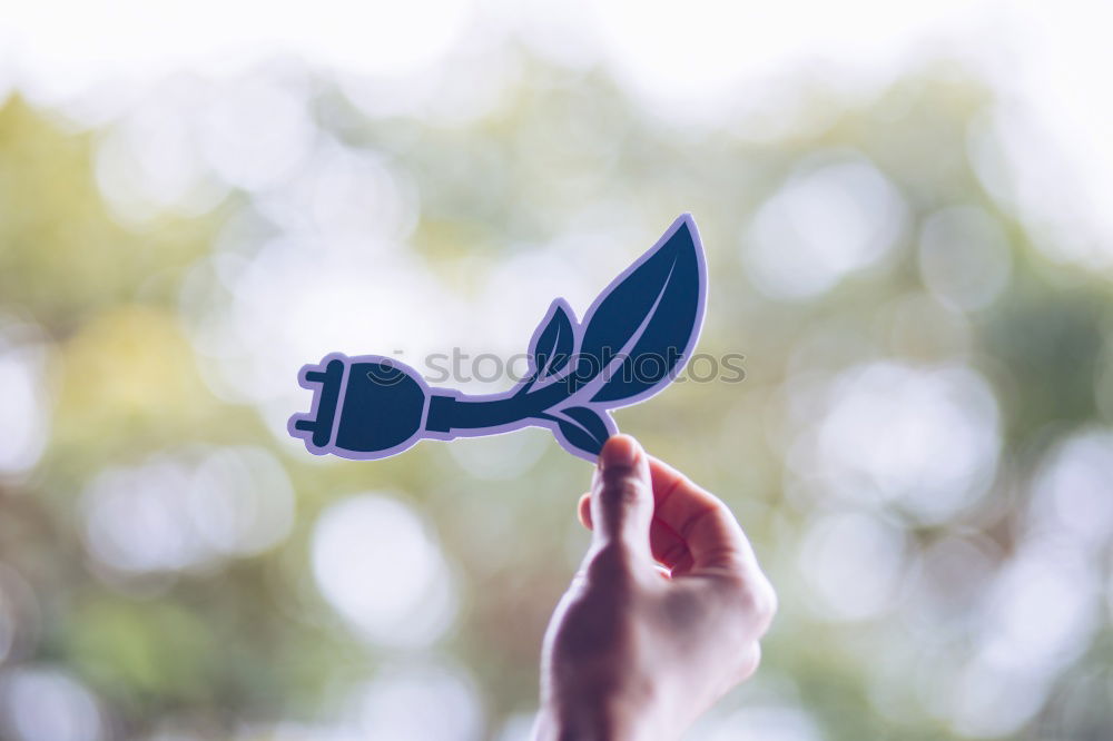 Image, Stock Photo Christmas star in hands