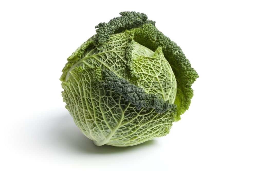 Similar – Image, Stock Photo savoy cabbage Food