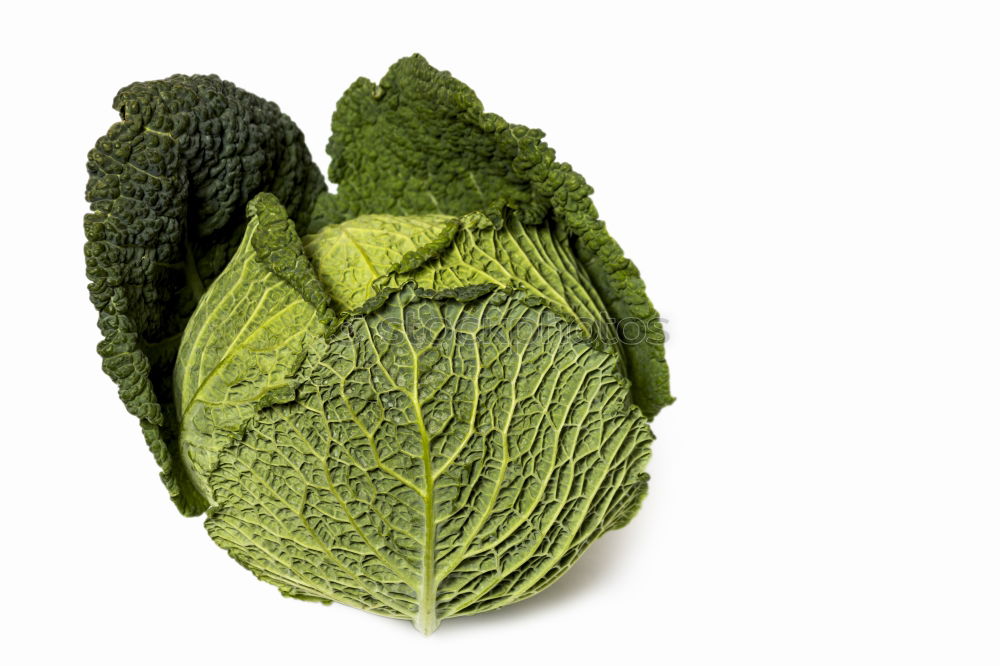 Similar – Image, Stock Photo savoy cabbage Food