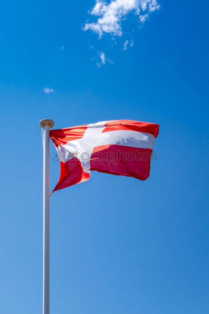 Similar – Image, Stock Photo Circling Milan Flag Bird