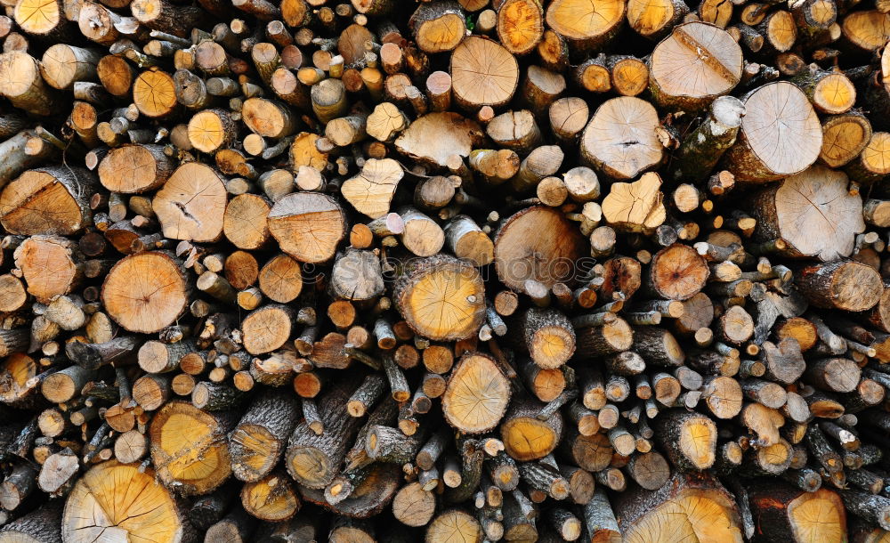 Similar – stack of wood Environment