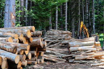 Similar – Holz vor der Hütte