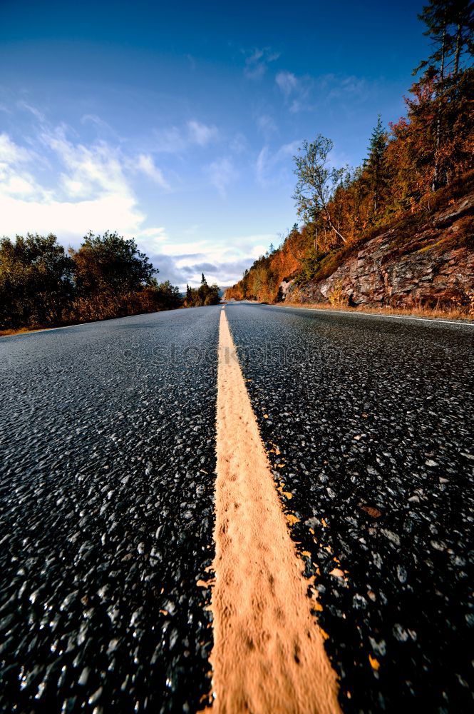 road to beauty New Zealand