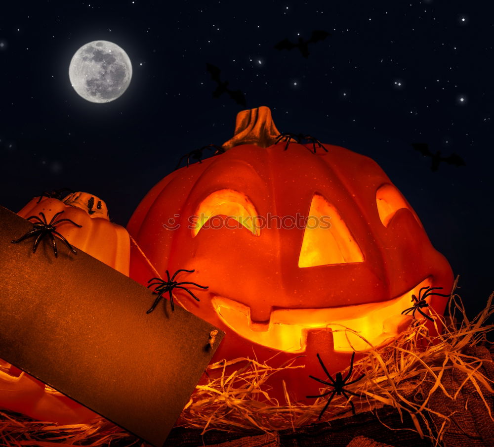 Similar – Image, Stock Photo Helloween