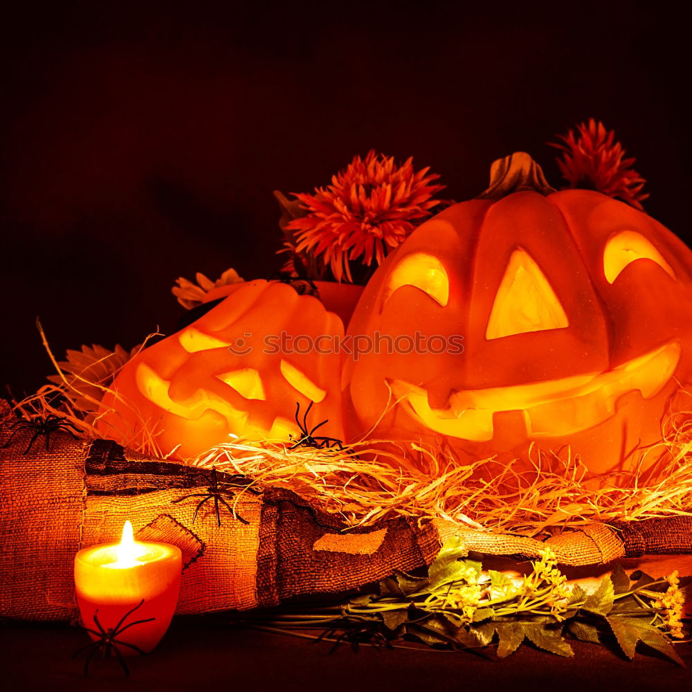 Similar – Image, Stock Photo Helloween