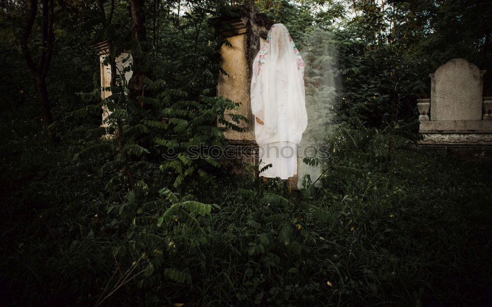 Similar – Jewish Cemetery, Prague