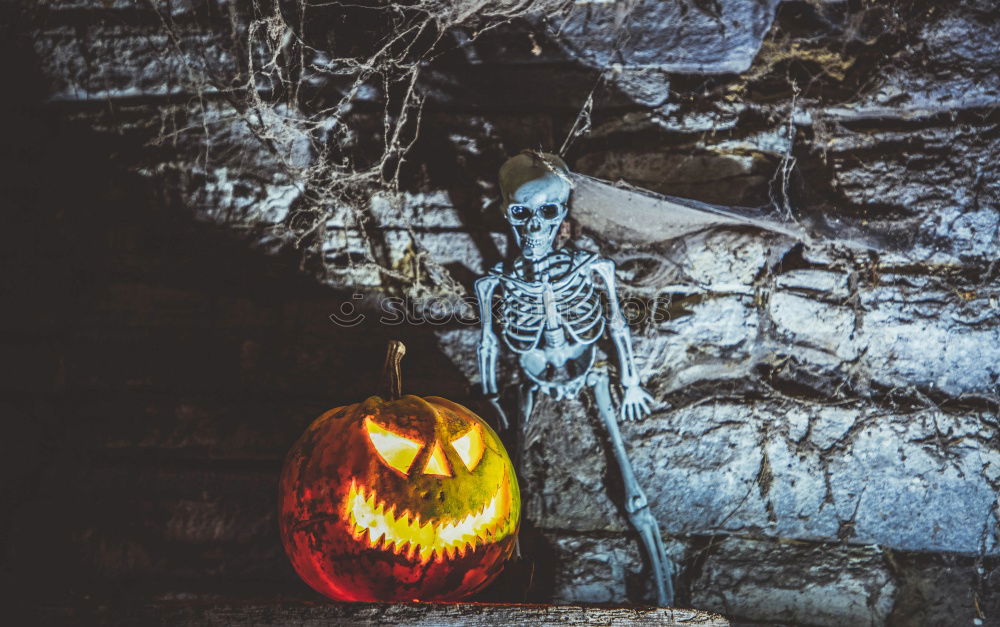 Similar – Image, Stock Photo Pumpking with a stone wall background