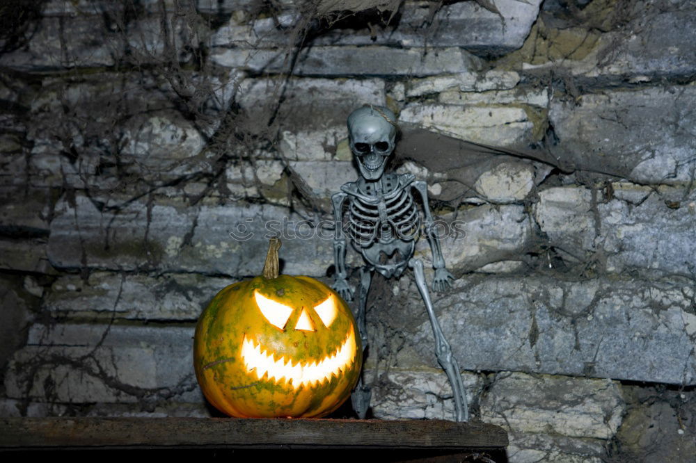 Similar – Image, Stock Photo Young boy in the Skeleton costume holding Halloween pumpkin