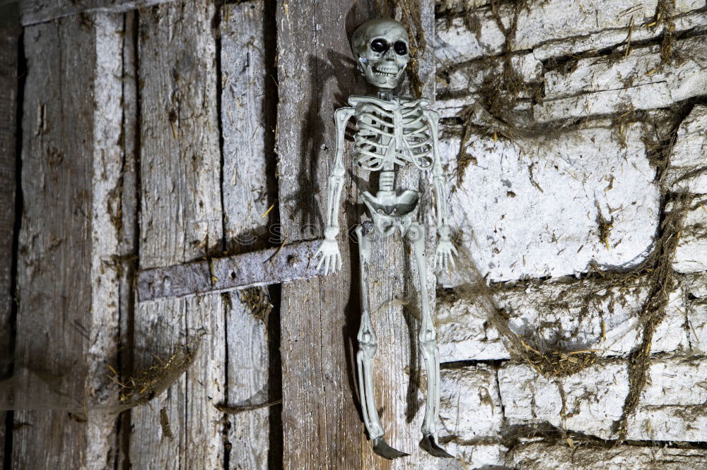 Similar – Image, Stock Photo spooky Agriculture