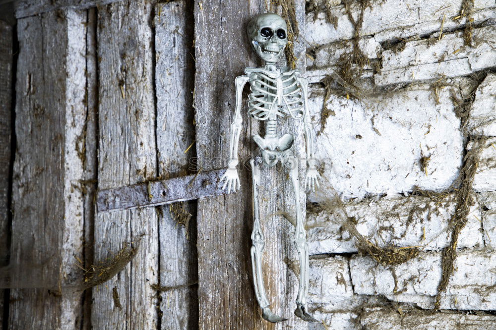 Similar – Image, Stock Photo spooky Agriculture