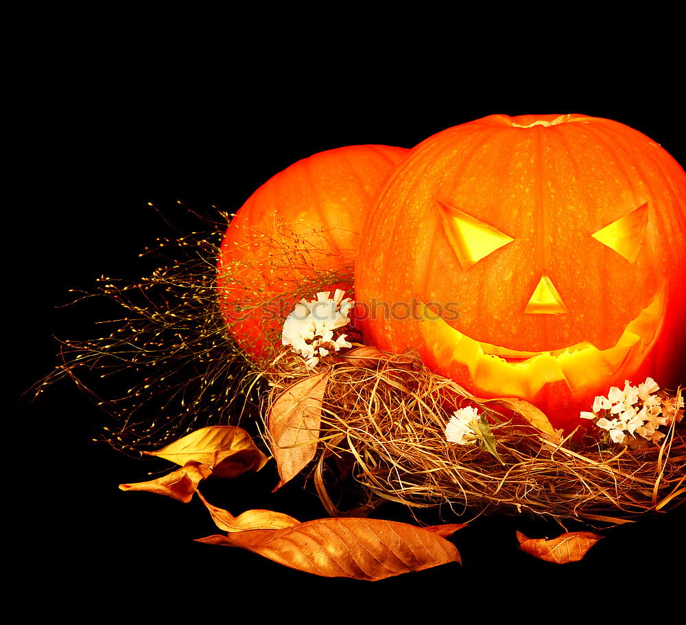 Similar – Image, Stock Photo Helloween