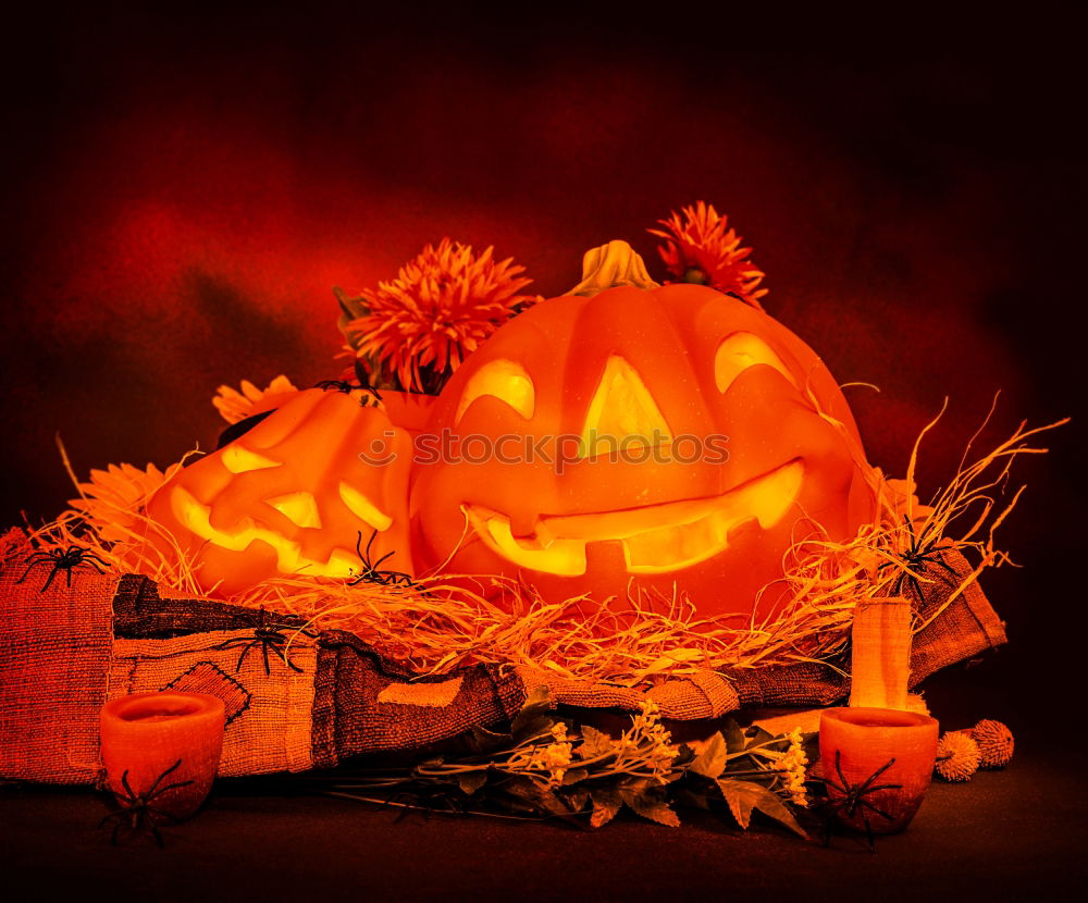 Similar – Image, Stock Photo Helloween