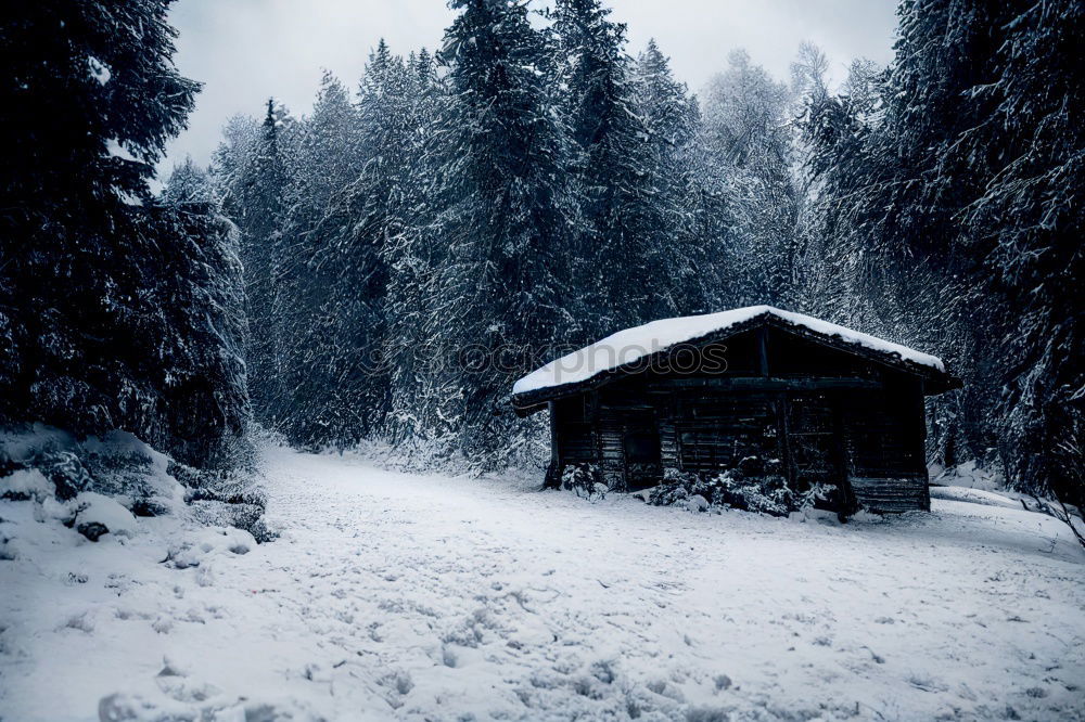 winter hut