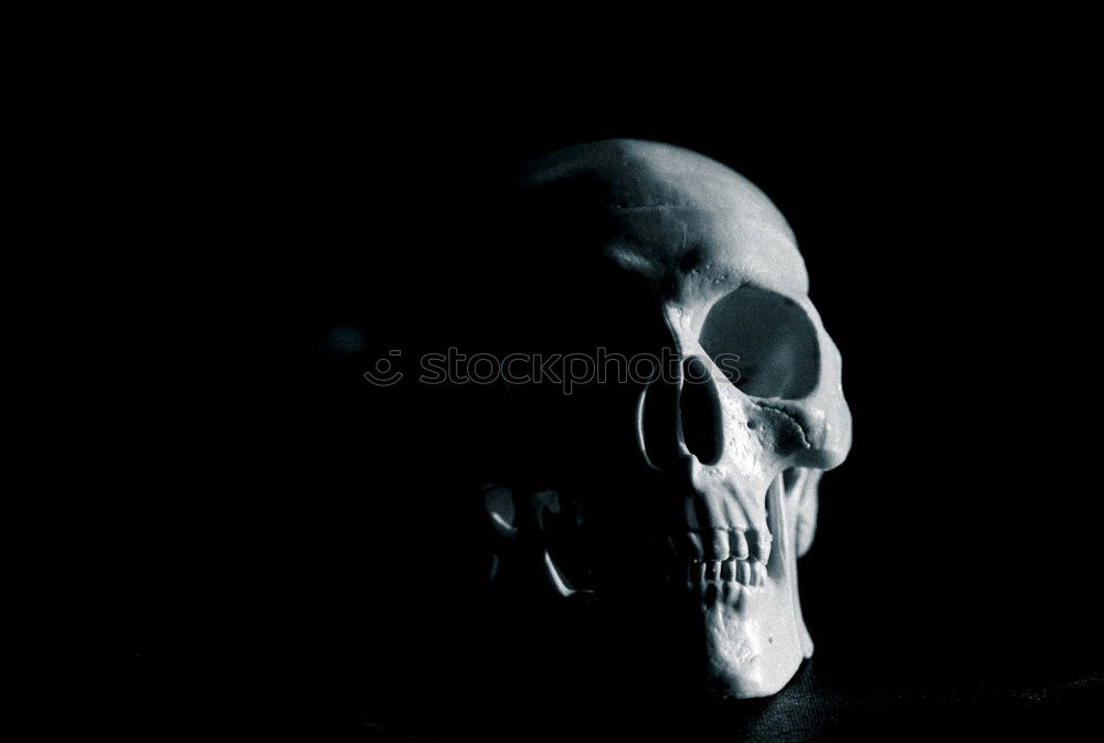 Similar – Image, Stock Photo Act II Elegant Style